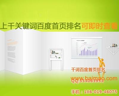 北京網站優化與網絡營銷推廣 賦能中小企業線上增長新引擎